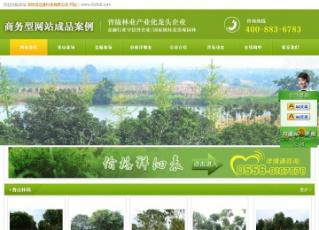 商務型成品案例站No:8326