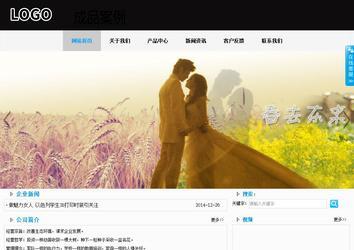 商務型成品案例站No:8553