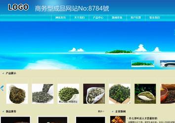 商務型成品案例站No:8784