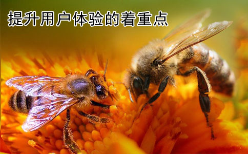 提升網站建設用戶體驗的著重點是什么呢？