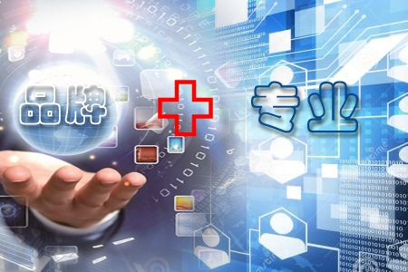 品牌+專業是網站制作公司能否持續發展的軟肋!