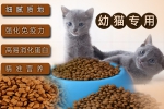 龍崗泰亞海飼料同本公司簽署網站制作合同