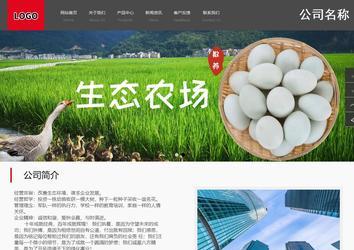 商務型成品案例站No:1501