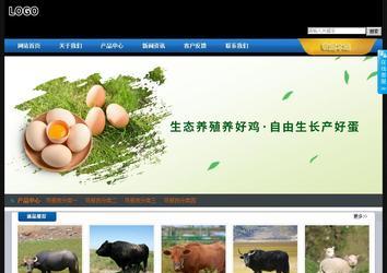 經濟型成品案例站No:4903