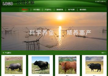 經濟型成品案例站No:4933