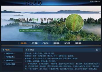 經濟型成品案例站No:4946