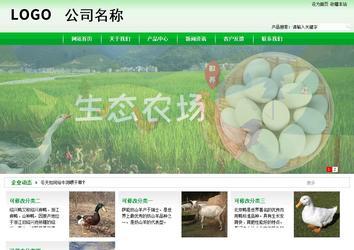 商務型成品案例站No:4952