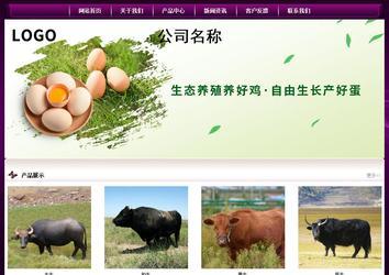 經濟型成品案例站No:5001