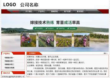 經濟型成品案例No:7202