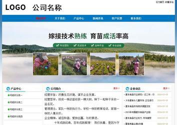 經濟型成品案例No:7531