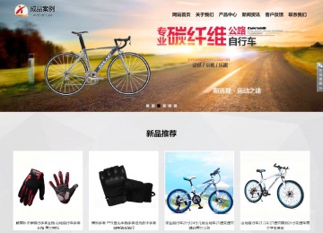 響應式成品案例站No:800