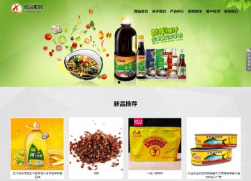 響應式成品案例站No:800