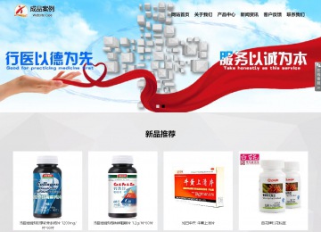 響應式成品案例站No:800