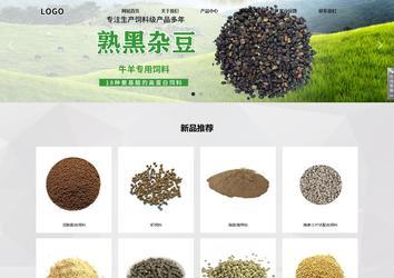 響應式成品案例站No:800