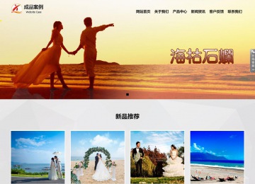 響應式成品案例站No:800