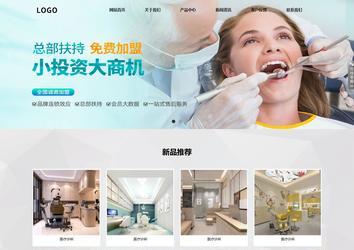 響應式成品案例站No:800