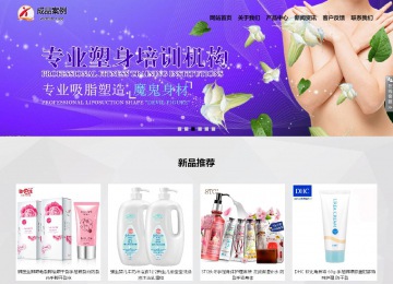 響應式成品案例站No:800