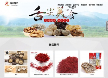 響應式成品案例站No:800