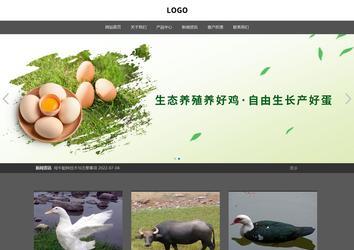 響應式成品案例站No:803