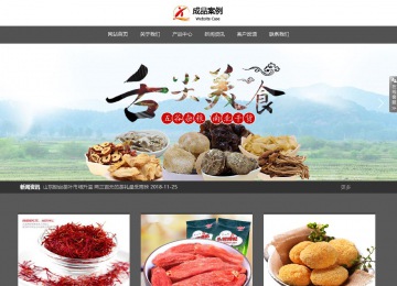 響應式成品案例站No:803