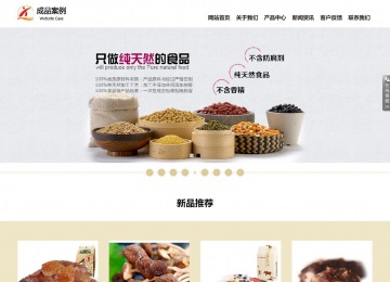 響應式成品案例站No:804