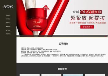 響應式成品案例站No:807