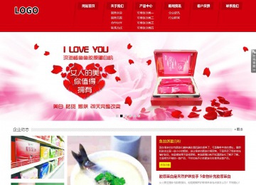 響應式成品案例站No:808