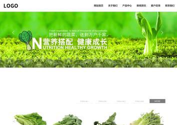 響應式成品案例站No:809