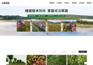 響應式成品案例站No:809