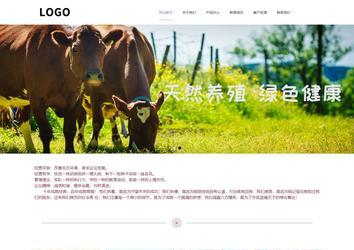 響應式成品案例站No:813