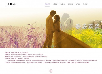 響應式成品案例站No:813