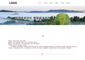 響應式成品案例站No:813