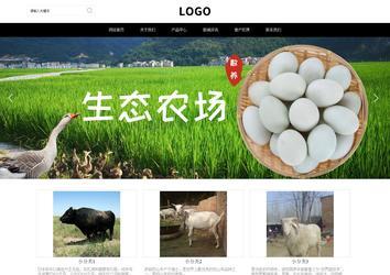 響應式成品案例站No:816