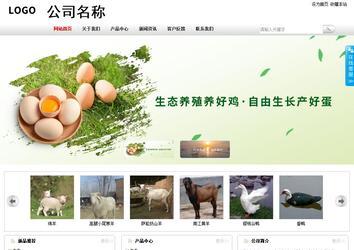 商務型成品案例站No:8167