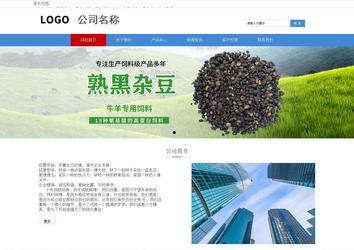 響應式成品案例站No:817