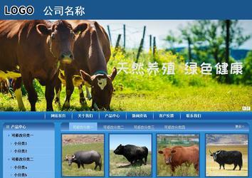 商務型成品案例站No:8190