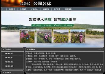 經濟型成品案例站No:8207