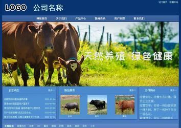 經濟型成品案例站No:8245