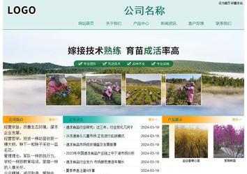 經濟型成品案例站No:8247