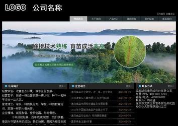 經濟型成品案例站No:8248