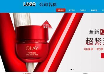 商務型成品案例站No:8251