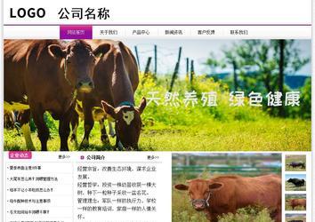 經濟型成品案例站No:8259