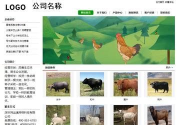 經濟型成品案例站No:8260