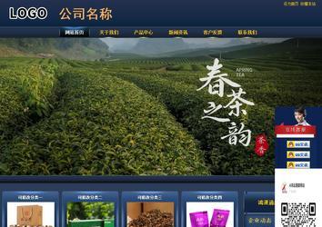 商務型成品案例站No:8278