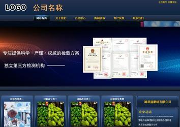 商務型成品案例站No:8278