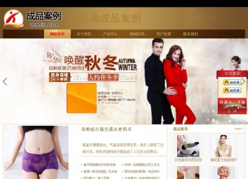 商務型成品案例站No:8284