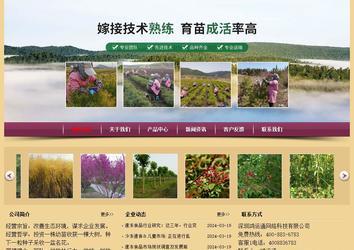 經濟型成品案例站No:8353