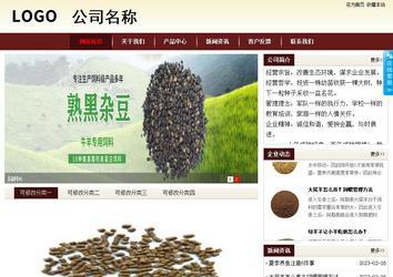 商務型成品案例站No:8381