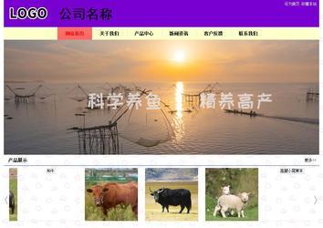 經濟型成品案例站No:8383