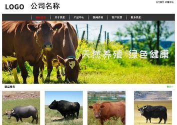 經濟型成品案例站No:8389